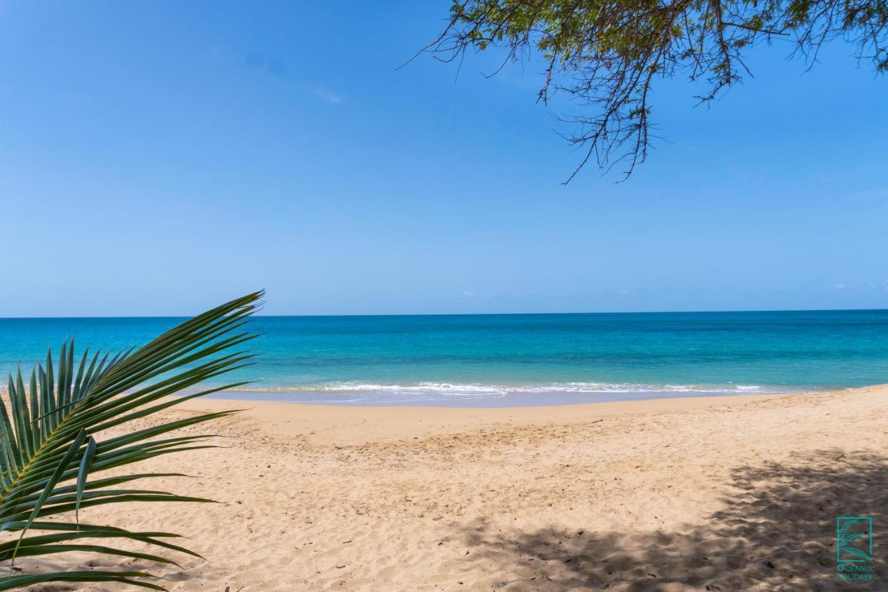 Appartamento Magnifique Et Spacieux T2 Proche De La Plage - La Kiss House Deshaies Esterno foto